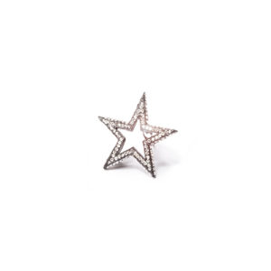 Barrette Moyenne Etoile Noir