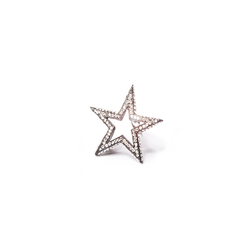 A-Star-Is-Born-ASB11901-NOI-#2