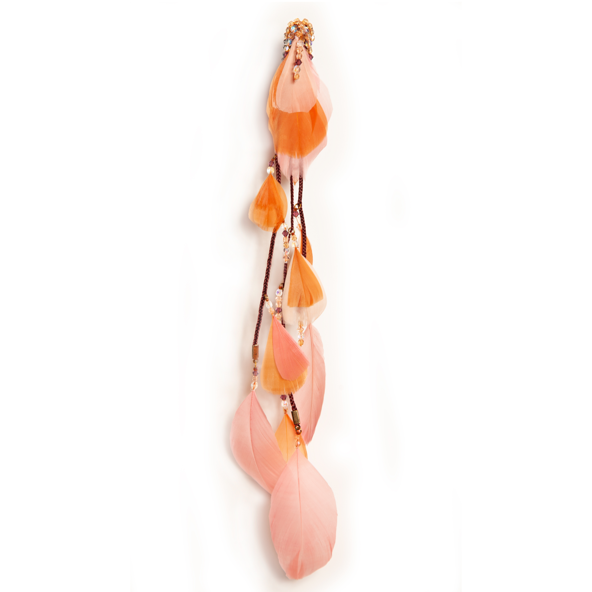 Clip Corail Site