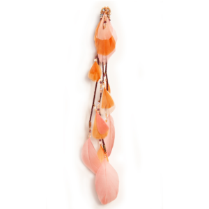 Clip Plume Corail